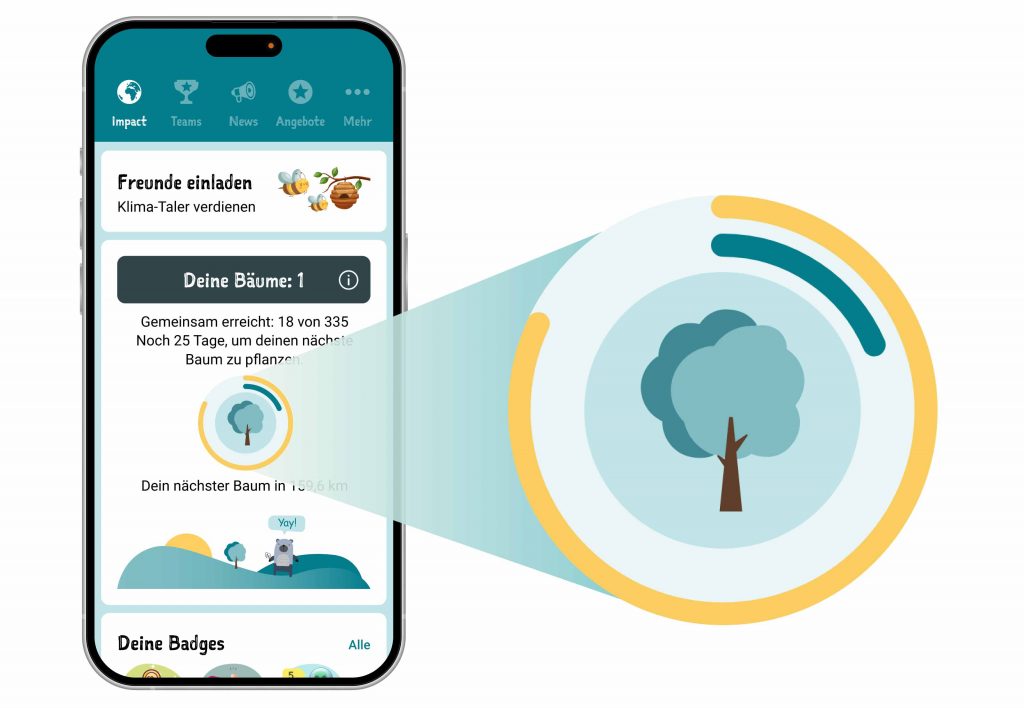 Widget Anzeige